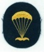 CIRCA 1960-1967, DDR, NVA, PARA, ENLISTED SLEEVE PATCH, PARACHUTIST, SCUBA - $41.16 CAD