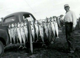 1940’s Photograph Fishing - Man Showing Off His Large Catch - £14.21 GBP