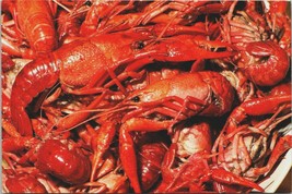 Postcard New Orleans LA Cajun Crawfish Mardi Gras Time 1993 crawdad unposted - £4.42 GBP