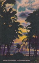 Sunrise Lummus Park Miami Beach Florida FL Postcard D54 - £2.25 GBP