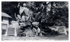 Entrance Log at Trees of Mystery Park Redwood Highway Klamath CA RPPC Postcard - £13.89 GBP