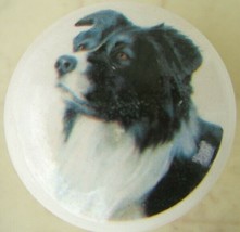 Ceramic Knobs w/ Border Collie #1 DOG - $4.36