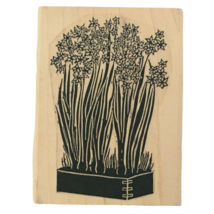 A Stamp in the Hand Co. Daffodils Long Stem Flowers Planter Box Dovetail... - $4.99