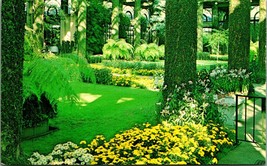 Conservatory Interior Longwood Gardens Wilmington Delaware DE Chrome Postcard A9 - £2.29 GBP