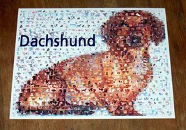 Amazing Dachshund Weener Weiner Dog Montage w/COA - £9.34 GBP