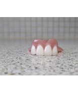 Partial Upper Denture/False Teeth, Dental, Brand new. - $95.00