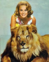 Daktari TV series smiling Cheryl Miller poses with Clarence the lion 8x10 photo - £7.69 GBP