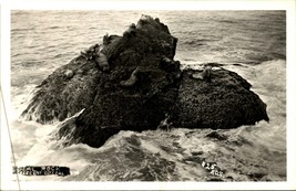 RPPC Seal Rock Crescent City CA California UNP Postcard #25 EDS Studio B3 - £5.40 GBP