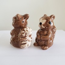 Squirrel Salt & Pepper Shakers, Ceramic 2.5" Woodland Animal Kitchen Accessory image 6