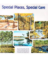 2002 International Paper Poster Life Of A Forest Care Recycling Vintage ... - $34.17 CAD