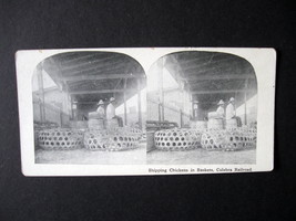 Vintage Stereoview Card Reprint - Shipping Chickens in Baskets, Culebra Railroad - £7.96 GBP