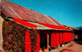 Drying Chili Peppers Hanging From Roof 1959 Chrome Postcard - £3.12 GBP