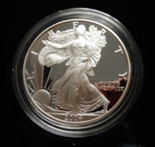 2004-W Proof Silver American Eagle 1 oz coin w/box & COA - 1 OUNCE - £66.86 GBP