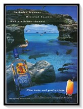 Captain Morgan&#39;s Parrot Bay Puerto Rican Rum Vintage 2002 Print Magazine Ad - €6,58 EUR