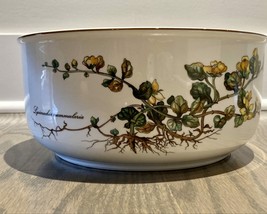 Villeroy and Boch Botanica China 9 inch Serving/ Salad Bowl Lysimachia Nummul... - £79.12 GBP