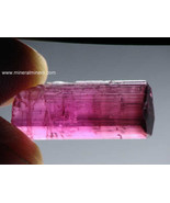 Rubellite Tourmaline Crystal, Tourmaline Gem Grade Rough, Facet Rough, B... - $11,233.31 MXN
