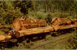 Union Oil Company  76 Gasoline Logging Train in the Pacific Northwest  (B13) - £5.34 GBP