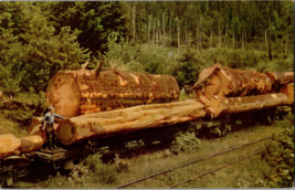 Union Oil Company  76 Gasoline Logging Train in the Pacific Northwest  (B13) - $6.79