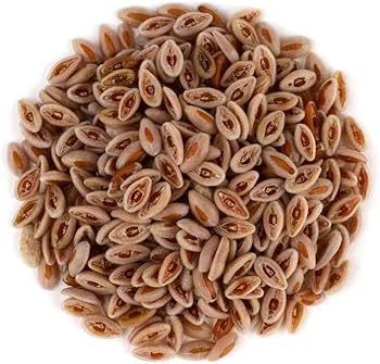 Isabgol Seed - $11.99+