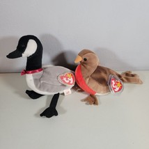 Ty Beanie Babies Plush Lot Loosey Goose and Bird Swing Tag Protector Tags Damage - £12.02 GBP