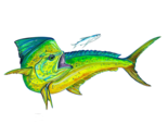 Dolphin Big Game Fish Mahi Dorado Vinyl Car/Truck Window Decal/Sticker - $6.95+