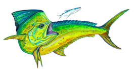 Dolphin Big Game Fish Mahi Dorado Vinyl Car/Truck Window Decal/Sticker - £5.53 GBP+