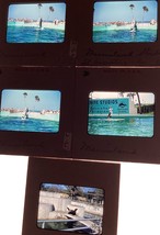 Red  Marineland Studio St Augustine Fl Dolphins Seals COLOR 5 Photo Slides 1956 - £13.59 GBP