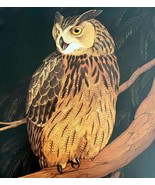Eagle Owl Art Print Color Plate Birds Of Prey Vintage Nature 1979 DWT11A - $651.47 MXN