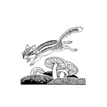 Jumping Chipmunk Wall Decal - Pen and Ink Style - 18.5&quot; wide x 17.75&quot; tall - £15.92 GBP
