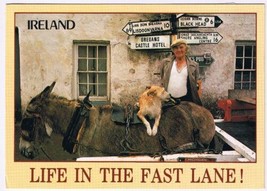 Postcard Life In The Fast Lane Ireland Man Donkey Dog - $2.75