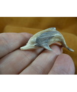 Dolph-22 little swimming Dolphin of shed ANTLER figurine Bali detailed c... - $532.95 MXN