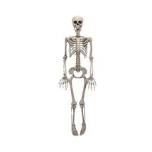 Halloween Skeleton Human Full Body Horror Party Prop Holiday Decoration - £13.49 GBP