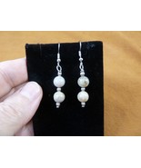 DP1-24-11 REAL DINOSAUR POOP beaded dangle EARRINGS Utah ancient Dino Co... - €16,18 EUR