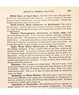 1893 Botanical Medical Practice Pages Section From Cottage Physician DWQ8 - $28.05 CAD