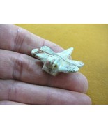 Y-DRAG-18) white DRAGONFLY fly figurine BUG carving SOAPSTONE PERU drago... - €7,71 EUR