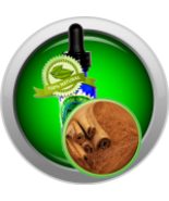 Cinnamon Bark (Cinnamomum verum) Absolute Oil - €5,11 EUR+