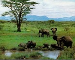 Micato Safaris Nairobi Kenya Postcard PC514 - $4.99