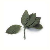 Large Rose Leaf Green 1-1/2 X 3 Inches - $15.15