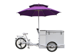 Dessert on Wheels | Electric Ice Cream Tricycle Delight - £3,269.02 GBP