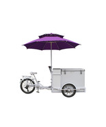 Dessert on Wheels | Electric Ice Cream Tricycle Delight - $4,999.00