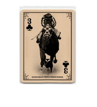 2013 Panini Golden Age #3 Secretariat Playing Cards - £5.32 GBP