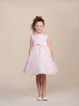 Sweet Pink Lace/Satin Flower Girl Holiday Party Pageant Dress, Crayon Ki... - £41.42 GBP