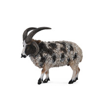 CollectA Jacob Sheep Figure (Large) - £26.55 GBP