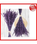 Fragrant Preserved Lavender - 15-17 - $428.23 MXN