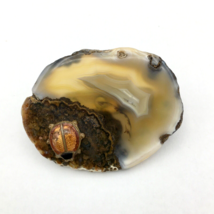 AGATE SLICE oval brooch - polished stone with enamel ladybug 1.25&quot; pin - £19.52 GBP