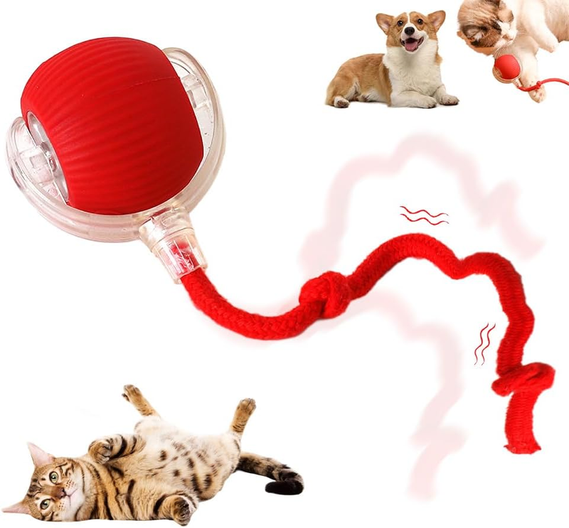 Interactive Rolling Cat Dog Ball Toy, 2025 New Automatic Interactive Cat Toys Se Item image 12