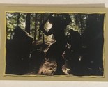 Lord Of The Rings Trading Card Sticker #243 - $1.97