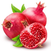 Best Parfyanka Pomegranate (Parfianka) / Punica granatum / Live Plant - £21.49 GBP