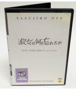 What Did The Lady Forget? Korean Import DVD Japanese w/ Koren Sub NO ENG... - $11.77 CAD