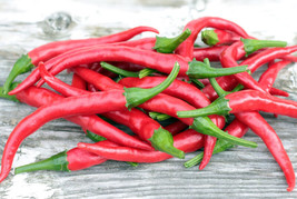 Pepper Cayenne Pepper 115 Seeds From US  - £6.63 GBP